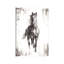 «Rustic Black Stallion I» par Ethan Harper - reproduction imprimée-52361810-52361803