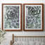 Zen Succulent III - ensemble de 2 reproductions de photos encadrées-998364398-998432601-998432600