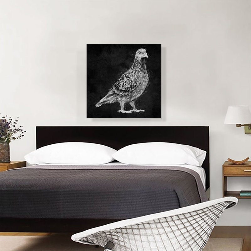 Pigeon colombe noir et blanc - reproduction d'art graphique sur toile tendue, H 26 po x l 26 po x P 0,75 po