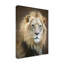 Art sur toile, bolognaise Linda D Lester-93221402