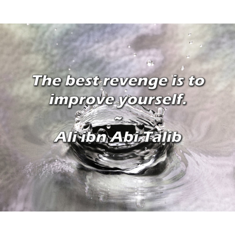 Ali ibn Abi Talib Quote: The best revenge is to improve yourself., 20" H x 24" W
