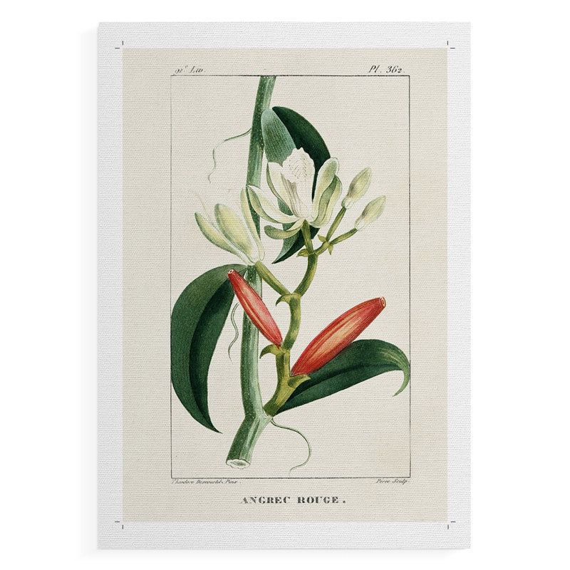 Turpin Tropical Botanicals IX - reproduction de toile seulement - NON-CADRE, H 12 po x l 8 po