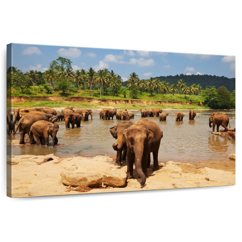 Brampt River Bathing Elephants, H 26 po x l 39 po