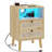 Rattan Nightstand with 2 Drawers