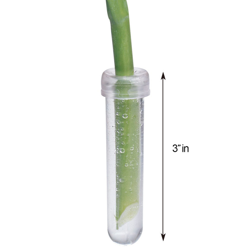 Greenlaw Weather Resistant Plant Support
