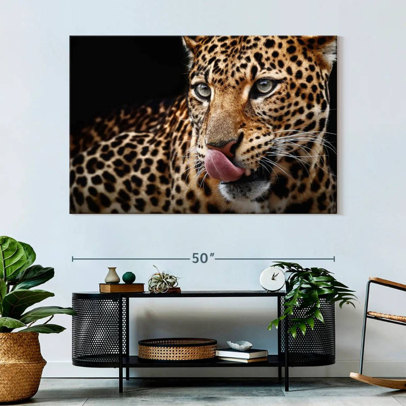 Brampt Licking Leopard, 34" H x 51" W