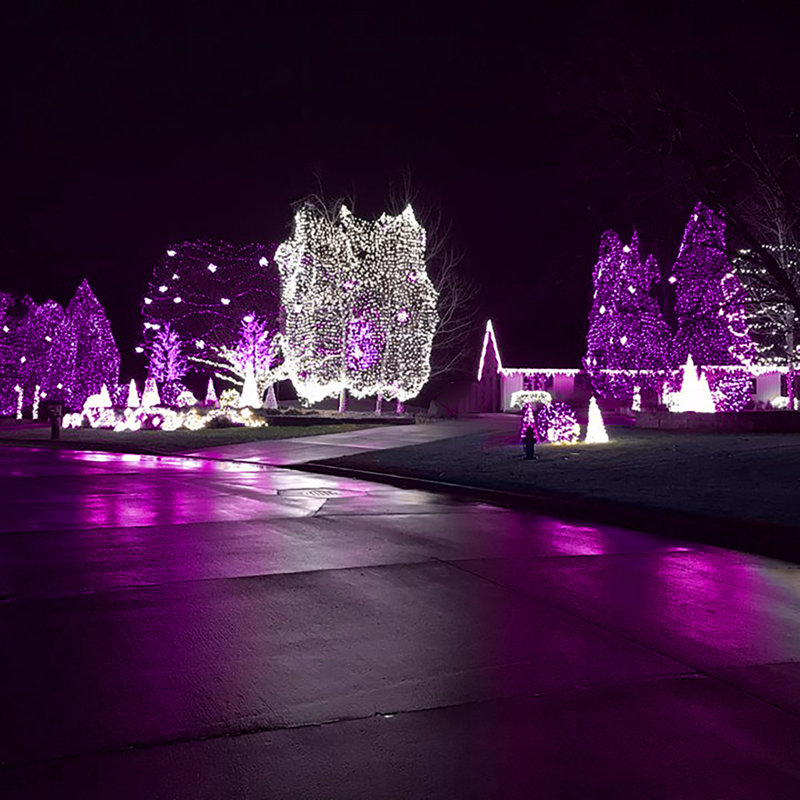 70 guirlandes de 70 lumières, Rose, 50 lumières