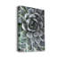 Zen Succulent III - reproduction de photo sur toile tendue-1318627430