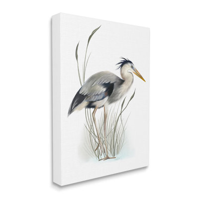 " Detailed Heron Bird Leering Wetland Grass Marsh " by Studio Q