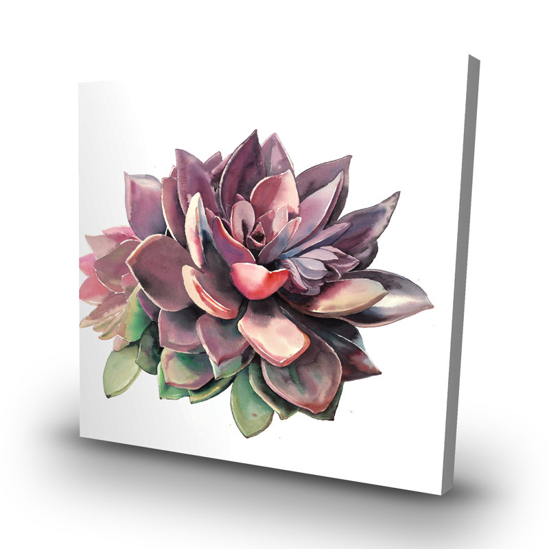 Succulent - 32"x32" art on canvas
