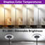 170 H cm Powder Coated Traditional Floor Lamp