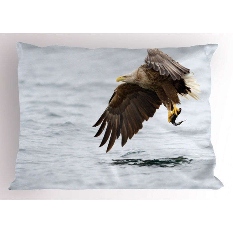 Eagle Polyester Sham Set, Twin