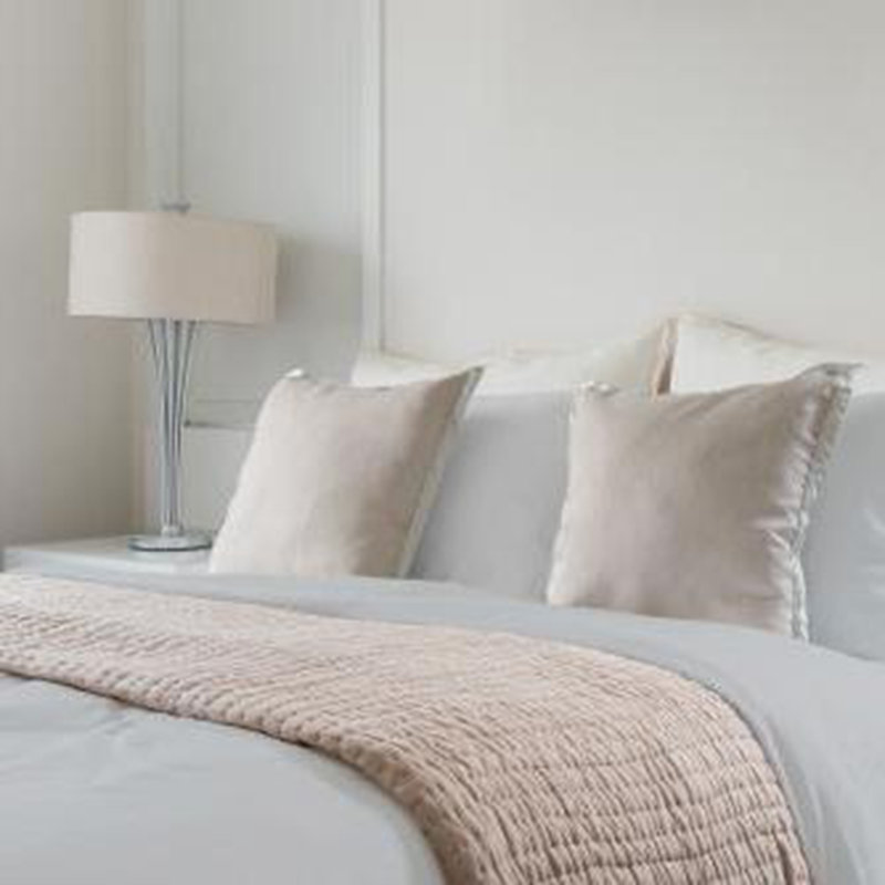 Soft and comfortable 100% Tencel Lyocell Derived from Eucalyptus 4-Piece Sheet Set, Light Gray