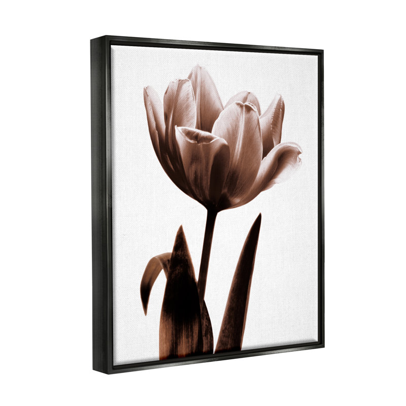 «Blooming Tulip Silhouette Floater» par Caroline Kelly, Cadre flottant noir de jais, H 21 po x l 17 po x P 1,7 po