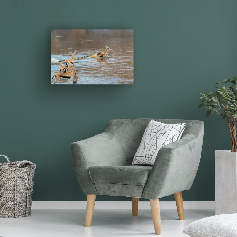 Art sur toile «ologia bologi », H 16 po x l 24 po