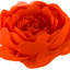 Housse de coussin décoratif décoratif à motif floral rose Simulation-1460310674-1460310678