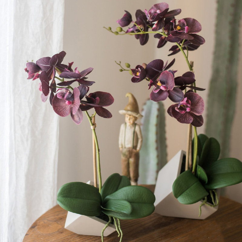 Orchidées florales et centre de table en pot, H 16,9 po x l 13 po x P 2 po