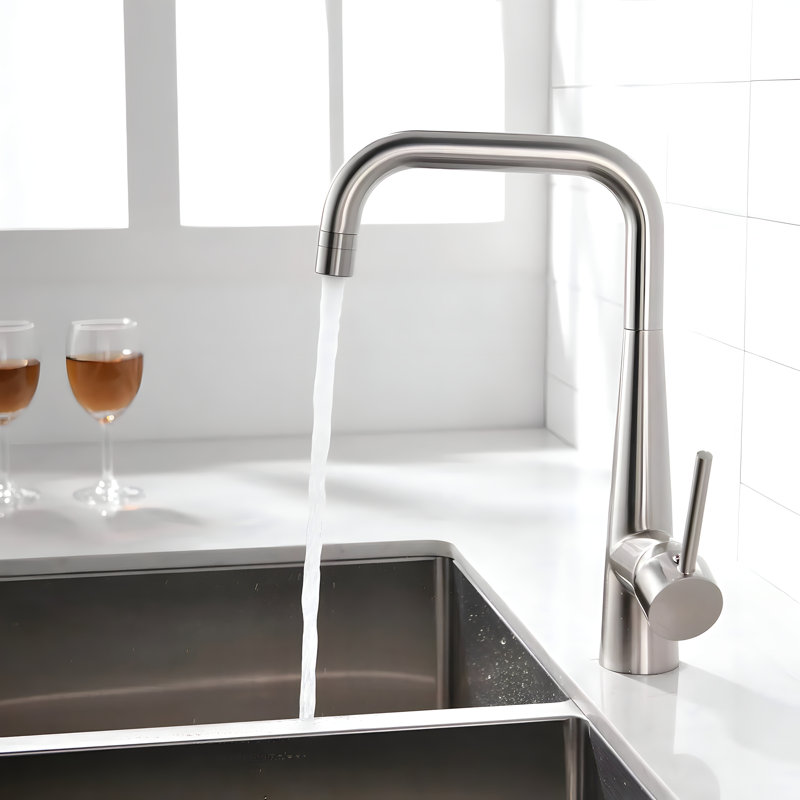 Robinet de cuisine à poignée simple avec accessoires