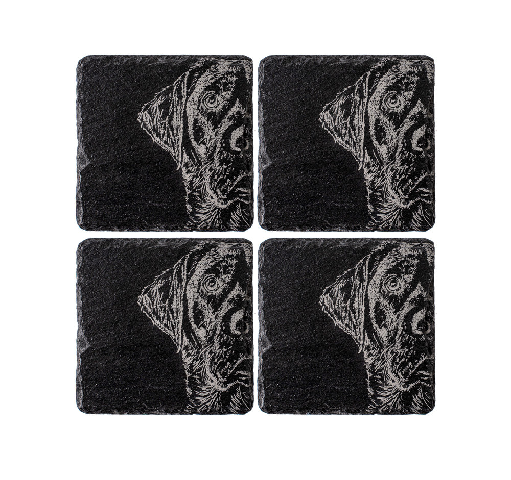 Square 4 Piece Coaster Set