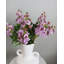 Artificial White Lilac 22.5"-719866864