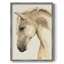 Golden Palomino II, reproduction encadrée - bois massif-82601710