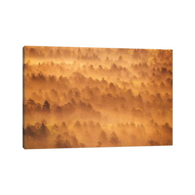 Golden Morning by Ales Krivec - Wrapped Canvas Print