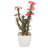 14'' Faux Cactus Succulent in Pot