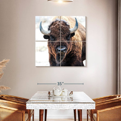 Brampt American Bison - A National Treasure