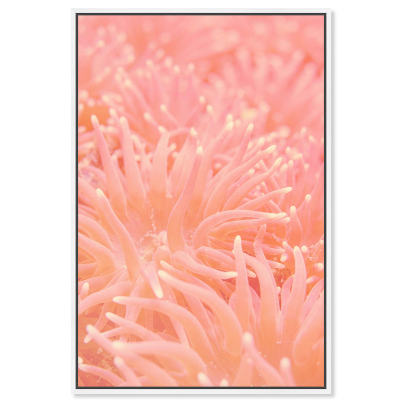 Deep Sea Flowers Print by Oliver Gal, 55"H x 37"W, White Floater Frame