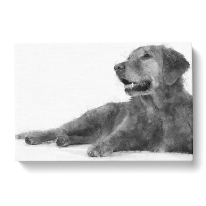 Golden Retriever - Wrapped Canvas Painting, 50cm H x 76cm W x 3cm D