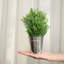 10,2 "10,5" Faux herbes topiaire en pot en métal (2 pièces) pour la décoration des tablettes