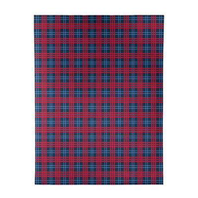 Plaid Indoor Rug