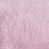 Rose est en rupture de stock