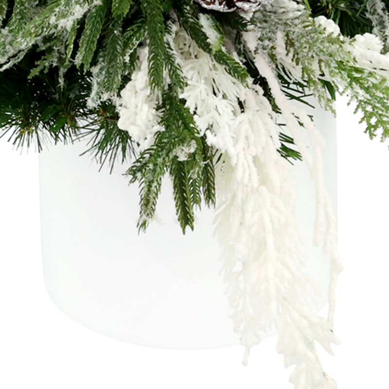 Evergreen Arrangement in Pot