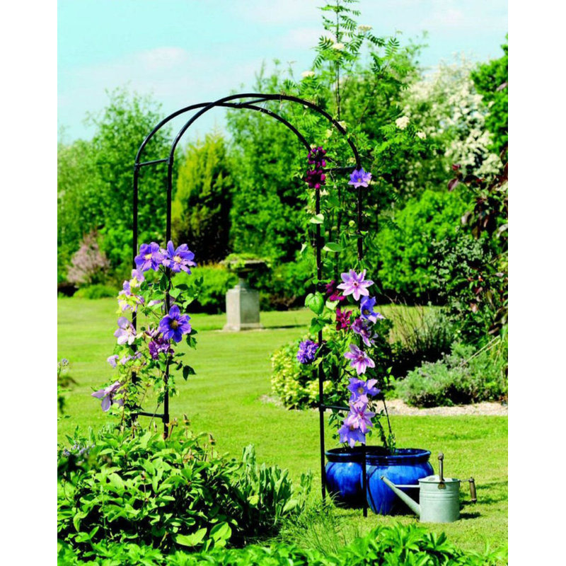 Hafner 240cm H x 140cm W Metal Arched Trellis