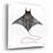 'Eagle Ray 2' by Stellar Design Studio, Acrylic Glass Wall Art-1033740293