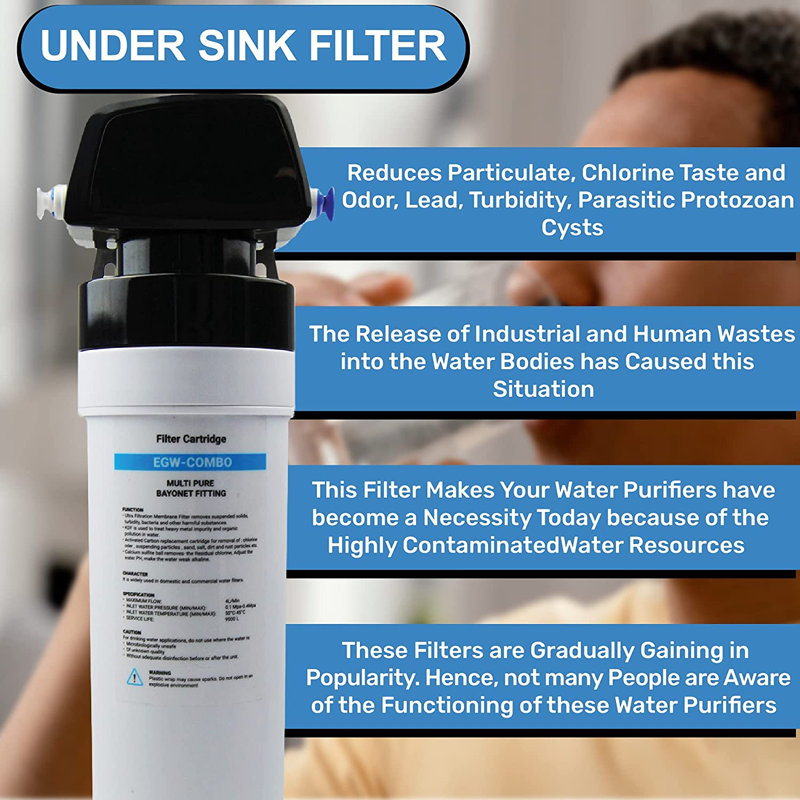 Système de filtration d'eau sous l'évier