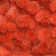 Mcentire Wool Indoor Rug