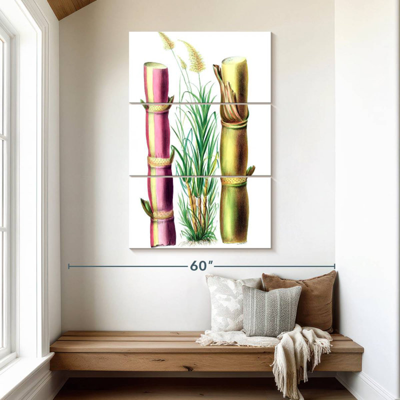 Harnek Sugarcane Stalks