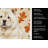 Cream Chow Chow Heirloom Fall Kitchen Towel-1218231165