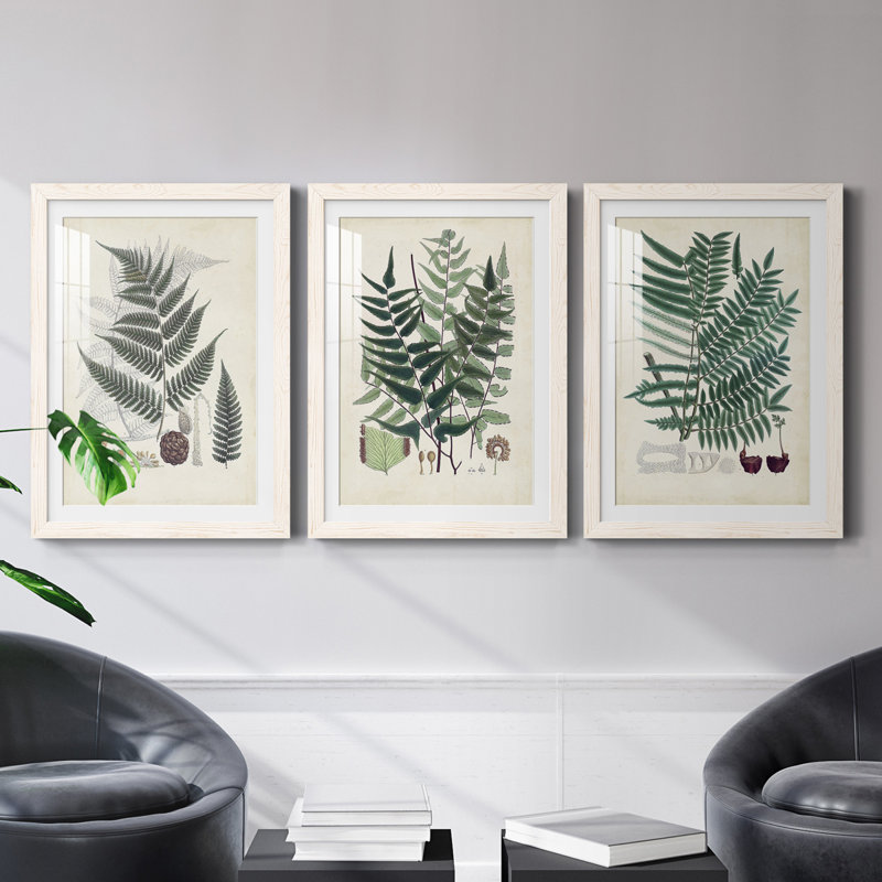 Collectionné de fougères VI encadré mat - prêt à accrocher, Blanc, H 37,5 po x l 82,5 po x P 1,5 po
