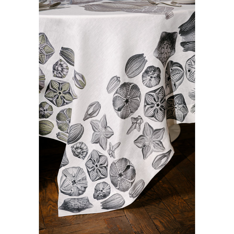 Blastoidea Linen Tablecloth 220X220 Cm