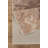 Edgin WF_TRE8013 Gold 7'10" x 10'6"-1148119316