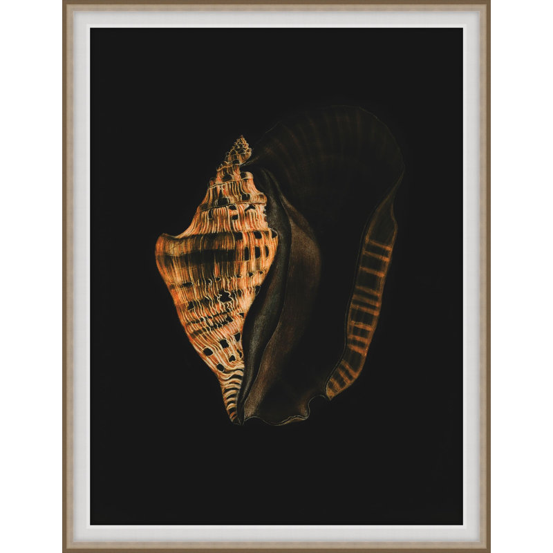 Wild Calm 3 Print by Art House Studios, 20" H x 16" W x 2" D