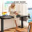 Electric Height Adjustable Standing Desk With Storage, Home Office Computer Desk With Led Lights-1689909277-1689909276-1689909274