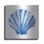 Art mural luxueux «Scallop Shell Sq» par Mercedes Lopez Charro-106416600