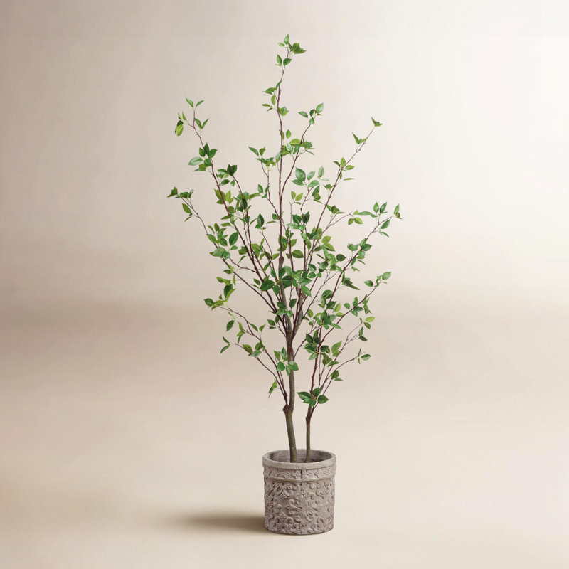 60'' Faux Cornus Tree in Cement Pot
