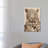Leopard by Andrew Cooper - Wrapped Canvas Painting-1547473888