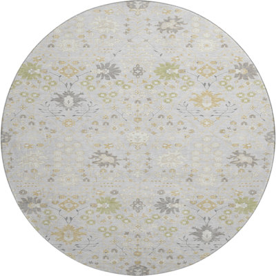 Premium Machine Washable Guada AMF1009 Oriental Rug