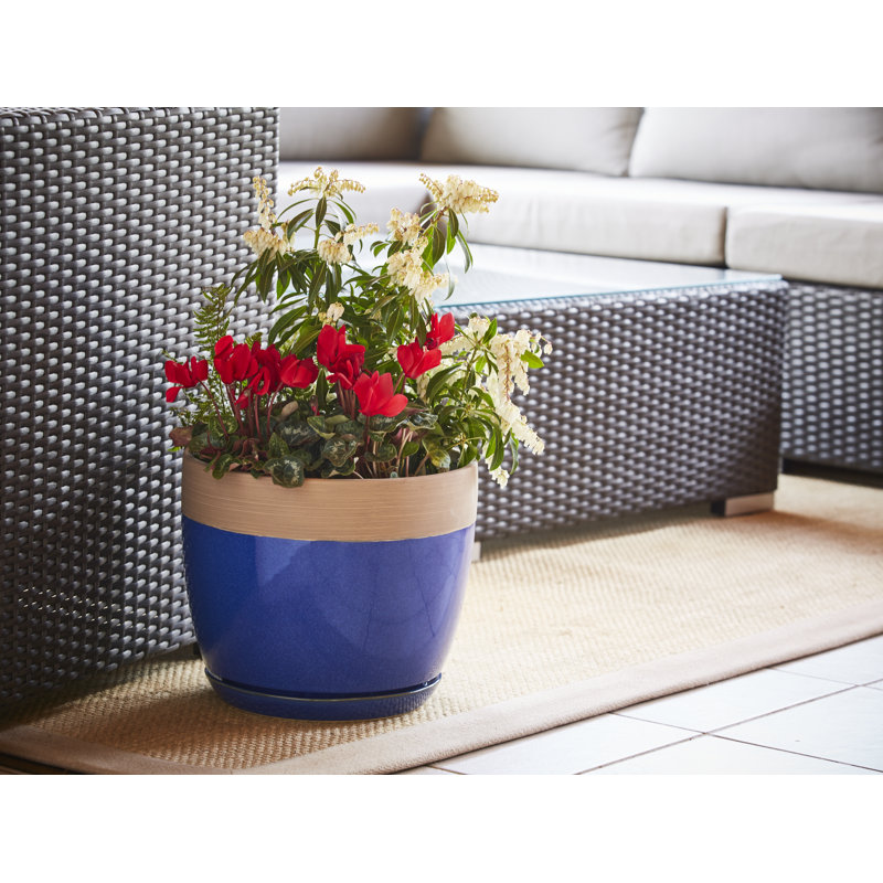 Ana Ceramic Pot Planter with Saucer